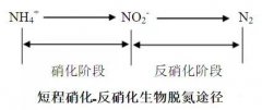 煙氣在線監(jiān)測系統(tǒng)廠家分享-短程硝化反硝化與同步硝化反硝化的區(qū)別及影響因